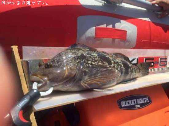 �����ʥ�