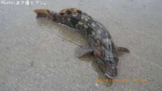 �����ʥ�