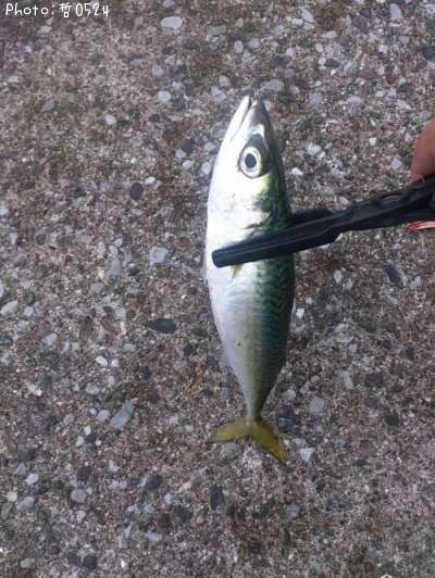 ���ޥ���