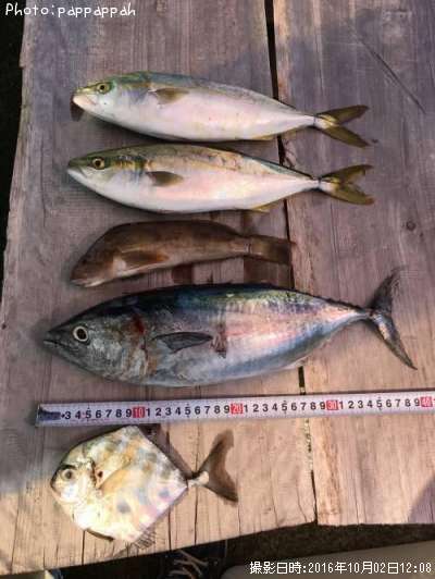 ���������ĥ�¾