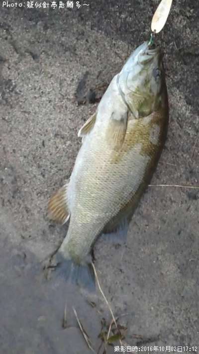 ���⡼��ޥ���