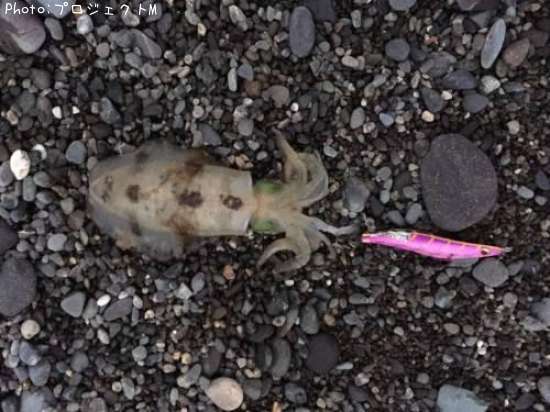 �����ꥤ��