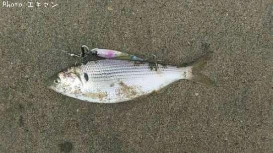 ���Υ���