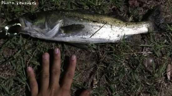 �����Х�