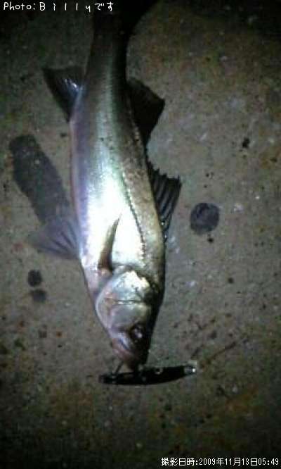 �����Х�