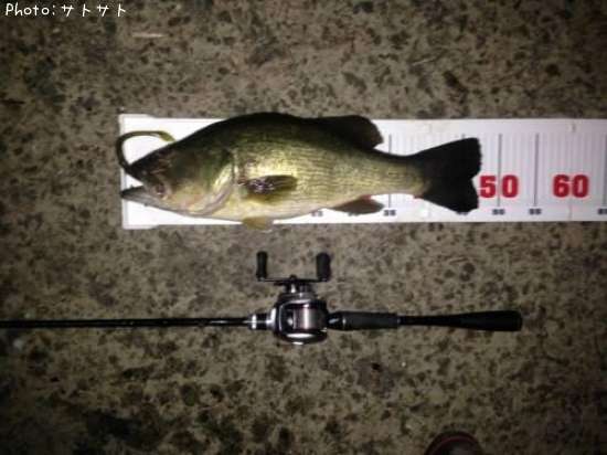 �֥�å��Х�