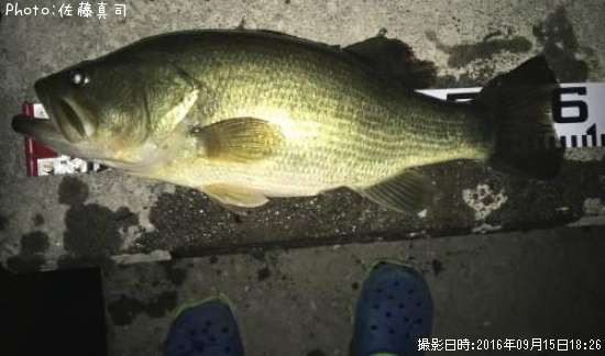 �֥�å��Х�