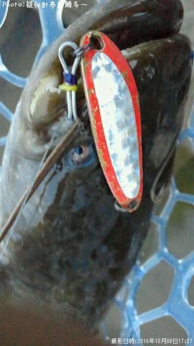 �ʥޥ�