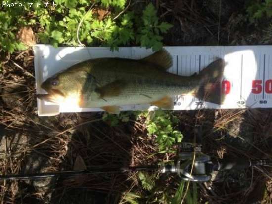 �֥�å��Х�