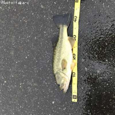 �֥�å��Х�