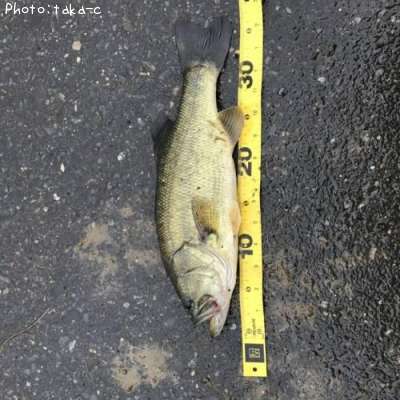 �֥�å��Х�