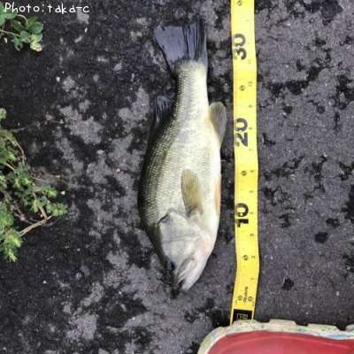 �֥�å��Х�