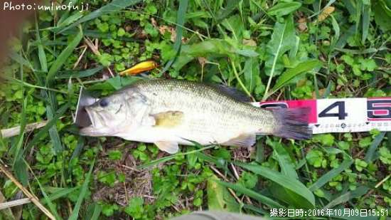 �֥�å��Х�