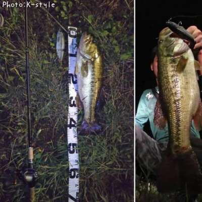 �֥�å��Х�