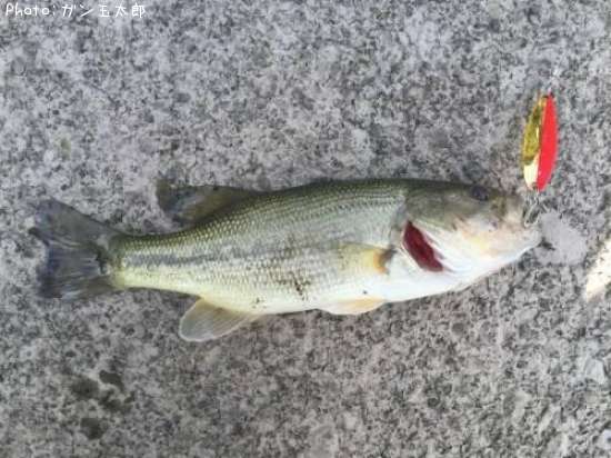 �֥�å��Х�