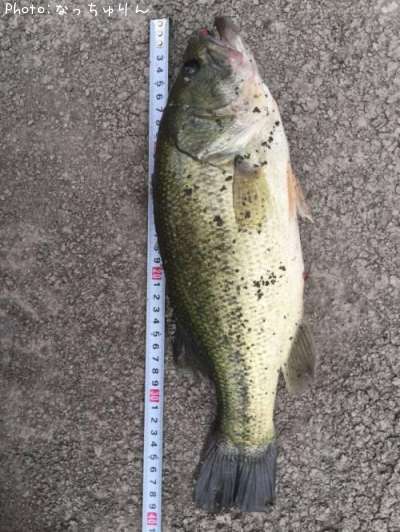 �֥�å��Х�