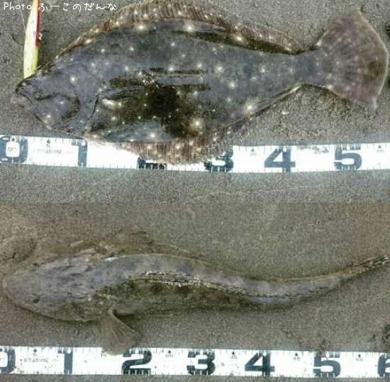 �ҥ�ᡡ�ޥ���