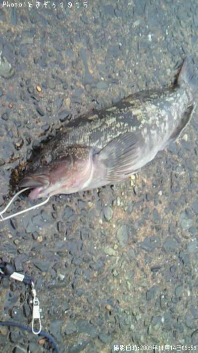 �����ʥ�