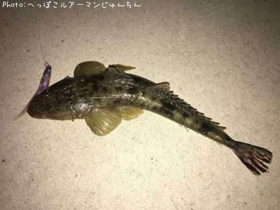 �ޥ���
