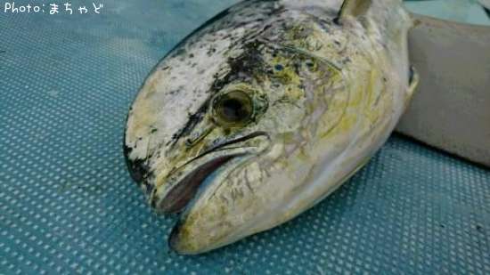 �ޥ�ӥ����ڥ������