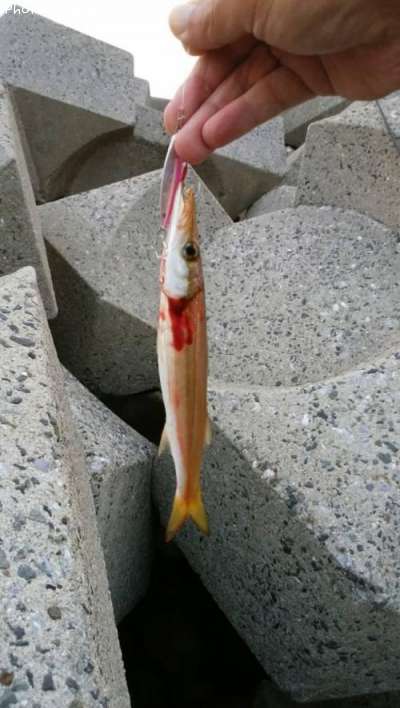 ���ޥ�
