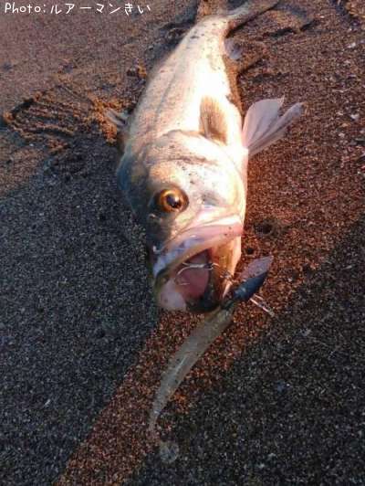 �����Х�