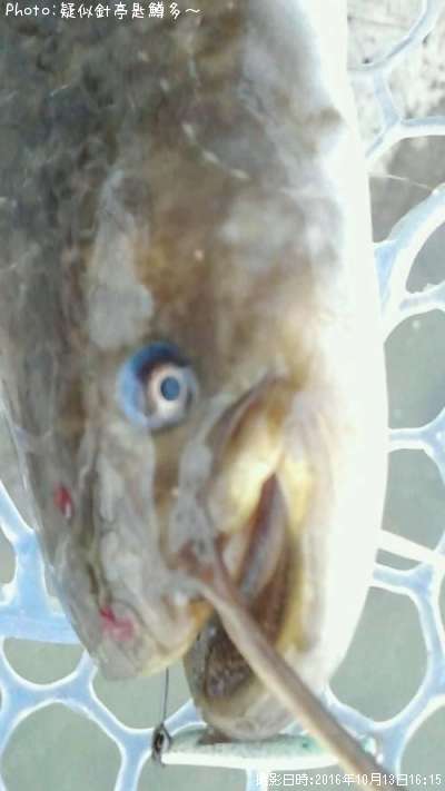 �ʥޥ�