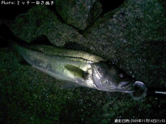 �ޥ륹����