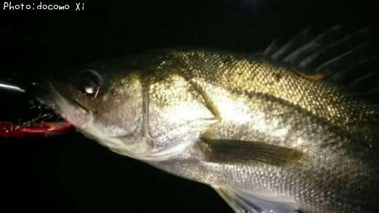 �����Х�