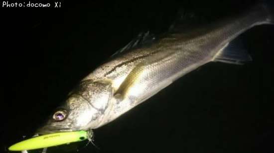 �����Х�