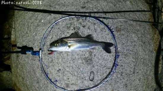 �����Х�