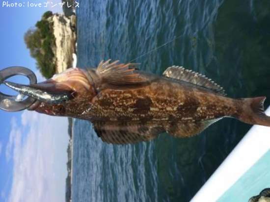 �����ʥ�