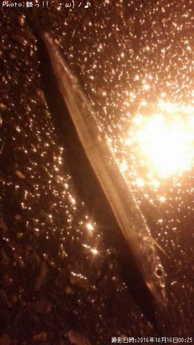 ���ޥ���