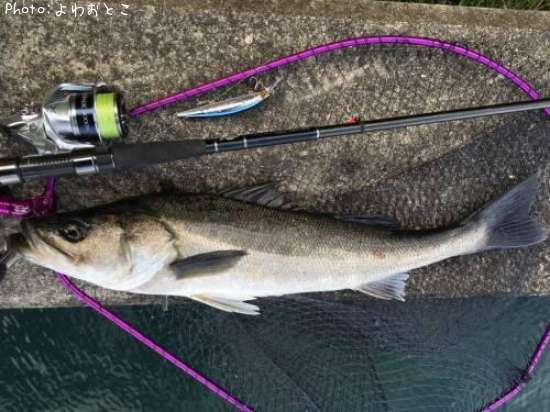 �����Х�