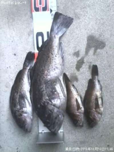 ����������Х�