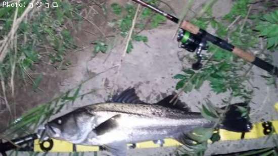 �����Х�