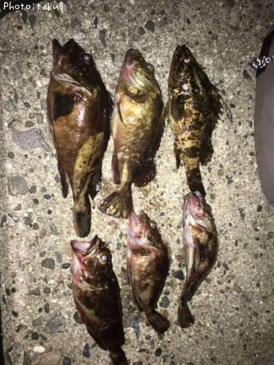 �������������Υ���Х�