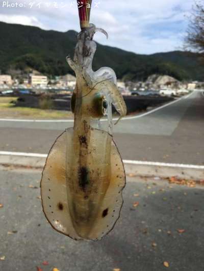 �����ꥤ��