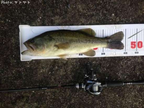 �֥�å��Х�