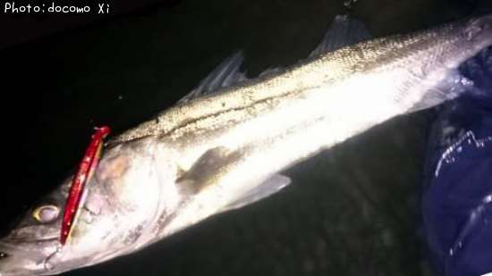 �����Х�