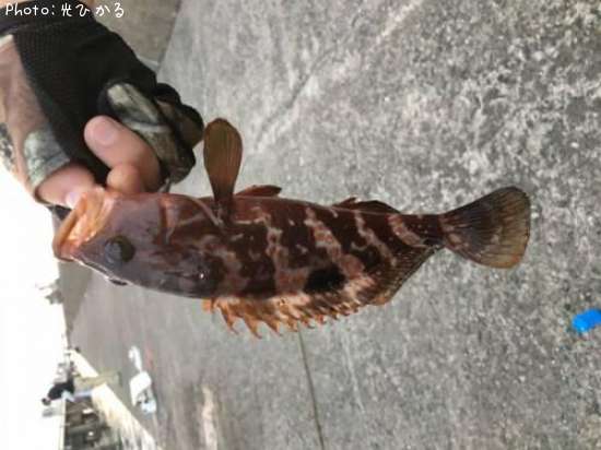 �����ϥ�