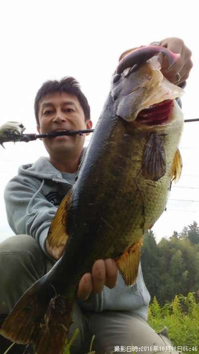 �֥�å��Х�