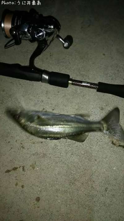 �����Х�