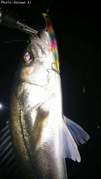 �����Х�