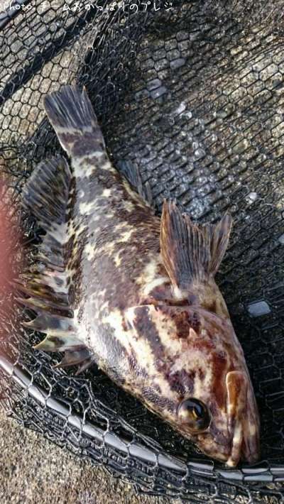 �����Υ���Х�