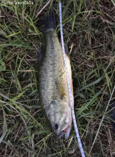 �֥�å��Х�