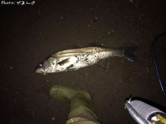 �����Х�