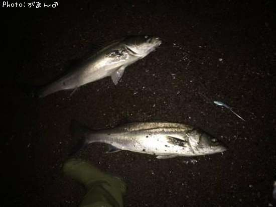 �����Х�