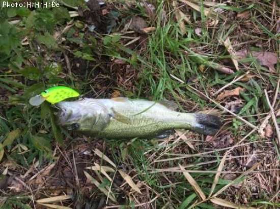 �֥�å��Х�