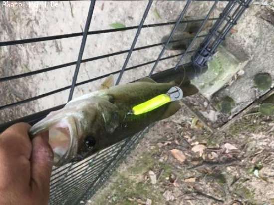 �֥�å��Х�